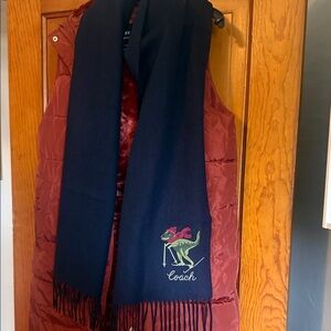 Coach Navy Scarf with Embroidered Green Dino